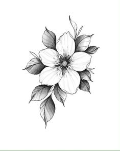 a black and white drawing of a flower