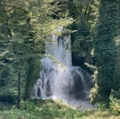 a waterfall in the middle of some trees and bushes with water coming out of it