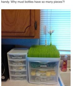 two plastic bins filled with green grass next to each other on top of a counter