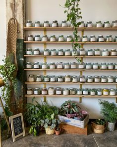 the shelves are filled with pots and plants