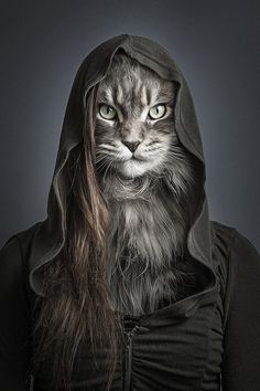 a cat wearing a hoodie with long hair and green eyes is staring at the camera