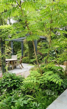 an outdoor dining area surrounded by greenery and trees in the middle of a garden