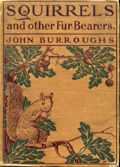 an old book with the title squirrel s and other fur - bearers