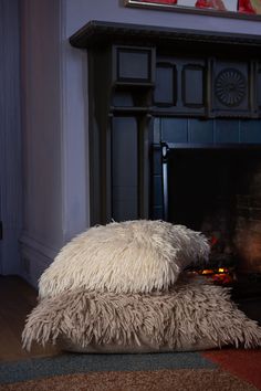 two fluffy pillows sit on the floor in front of a fireplace