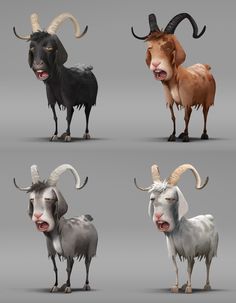 four different types of goats with horns on their heads and legs, all standing in the same direction