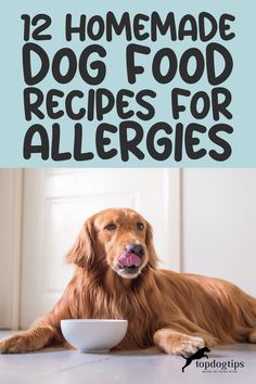 12 Homemade Dog Food Recipes for Dogs with Allergies Food For Dogs With Allergies, Homemade Food For Dogs, Homemade Dog Food Vet Approved, Cook Dog Food, Food For Dogs