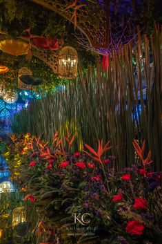 the garden is lit up with colorful lights