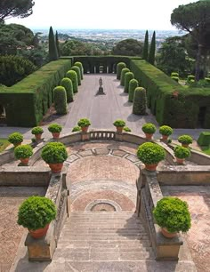 an aerial view of a large garden with many trees and bushes on either side of the walkway