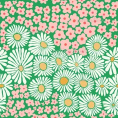 a green background with white daisies and pink dots on the bottom half of it