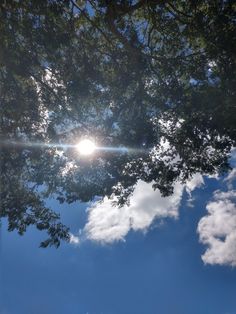 the sun shines through the branches of a tree in front of blue sky and clouds