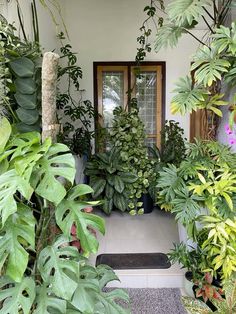 a house with lots of plants in front of it and a door way leading to the outside