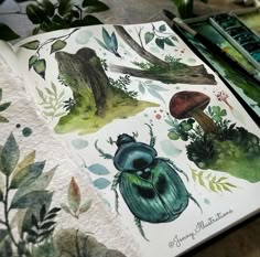 an open book with watercolors on it and various plants in the pages, including mushrooms