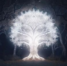 an illuminated tree in the middle of a forest