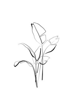 a black and white drawing of flowers on a white background