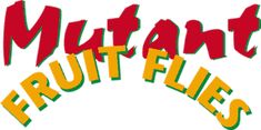 the logo for mutan fruit flies, an american fast food restaurant in new york city