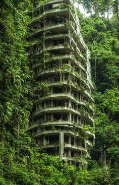 an abandoned building surrounded by trees in the jungle