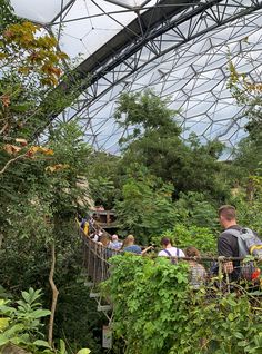 people are walking on a bridge in the middle of an outdoor area with trees and plants