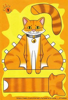 an orange and white cat sitting on top of a piece of paper