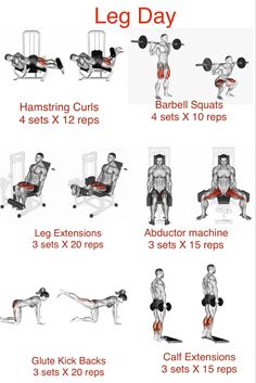 an image of a poster showing the different exercises to do with your legs and arms