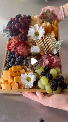 a person holding a tray with grapes, cheese and crackers