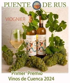 two bottles of wine sitting next to some grapes and green leaves with the words puente de ris vigner premio vinos de cueca 2024