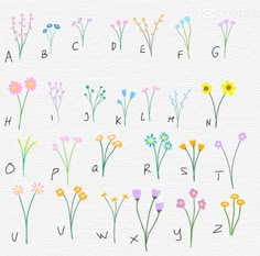 the alphabet with flowers painted on it is shown in different colors and font options for each letter