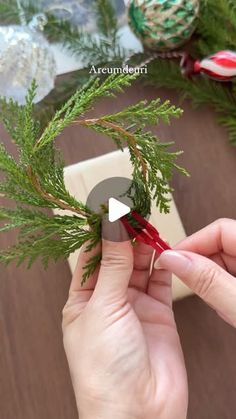 someone is cutting the branches off of a pine tree with scissors and tape to make an ornament