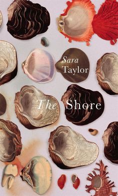 there are many different types of seashells on the cover of this book,