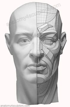 an image of a man's head with lines on the face and in the side