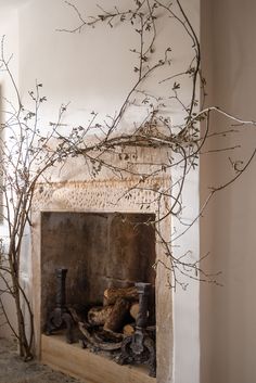 an old fireplace with some branches in it