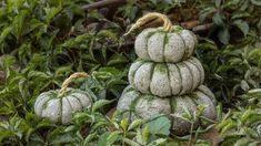 three cement pumpkins are stacked on top of each other in the garden with text overlay that reads diy concrete pumpkins