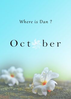 there is an image of flowers on the ground with words where's dan?