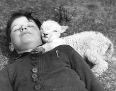 a baby laying on top of a grass covered field next to a lamb and text that reads, el que no puede ver los animals comoes