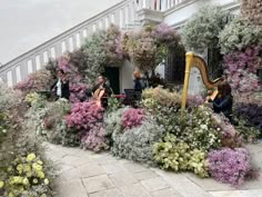 some people are playing music in the middle of a flower garden with purple and white flowers