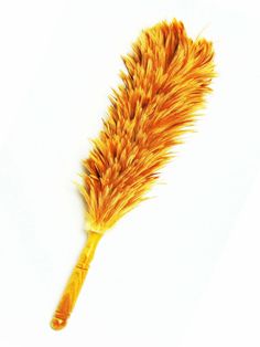 an orange and yellow feather on a white background