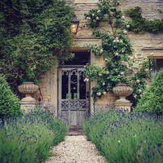 an old stone house with lavender and roses growing on it's front door, surrounded by greenery