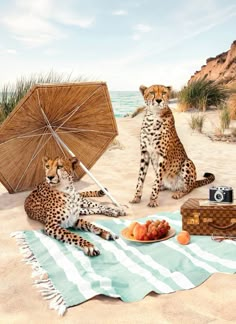 two cheetah are sitting on the beach with an umbrella and some food in front of them