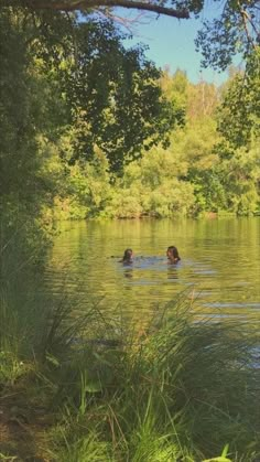 two people swimming in a lake surrounded by trees and grass, with one person floating in the water