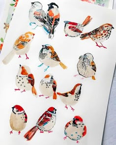 some birds are painted on white paper with watercolors