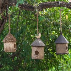 three birdhouses hanging from a tree branch with one bird perched on top of it