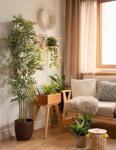 a living room filled with lots of plants next to a wooden table and chair in front of a window