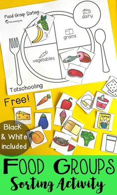 food groups sorting activity for toddlers to help them learn how to use their hands