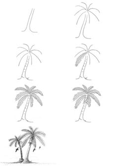 four palm trees are shown in this drawing