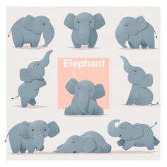 an elephant family poses for the camera with their baby elephants in various poses and positions