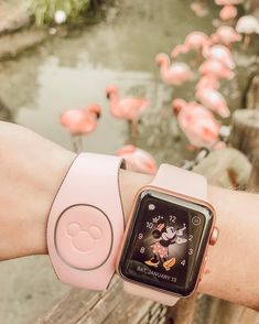 a person wearing an apple watch on their wrist with pink flamingos in the background