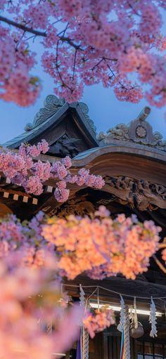 Japanese Wallpaper Cherry Blossoms, Japan Motivation Wallpaper, Gardencore Wallpaper, Cherry Blossom Japan Aesthetic, Japanese Cherry Blossom Wallpaper Iphone, Cherry Blossom Wallpaper Hd, Sakura Wallpaper Blossoms, Wallpaper Sakura Flowers, Aesthetic Sakura Flowers