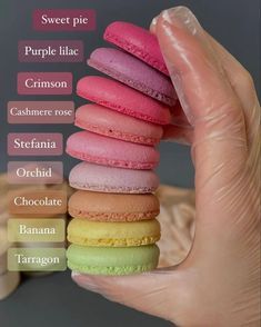 a hand holding a stack of different colored macaroons