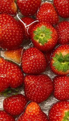 a bunch of strawberries sitting on top of each other in plastic wrappers