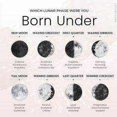 Different Phases Of The Moon, Magia Das Ervas, Witchcraft Spell Books, Lunar Phase