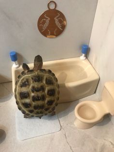 a turtle statue sitting on top of a bathroom floor